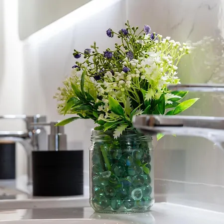 Bajo Con Jardin En Centro Lejlighed